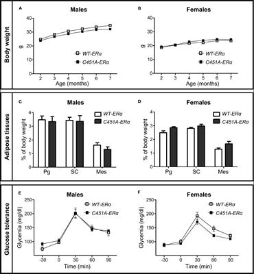 Membrane estrogen receptor-α contributes to female protection against high-fat diet-induced metabolic disorders